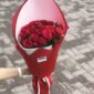 21 x 60cm Red Roses