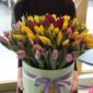 101 Mixed Tulips In A Box