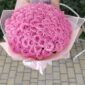 101 rose Pink Mondial