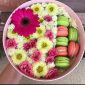 Macaroons & Sunflower Gift Hamper