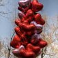 50 x Red & Pink Helium Heart Balloons